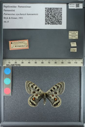 Media type: image;   Entomology 180321